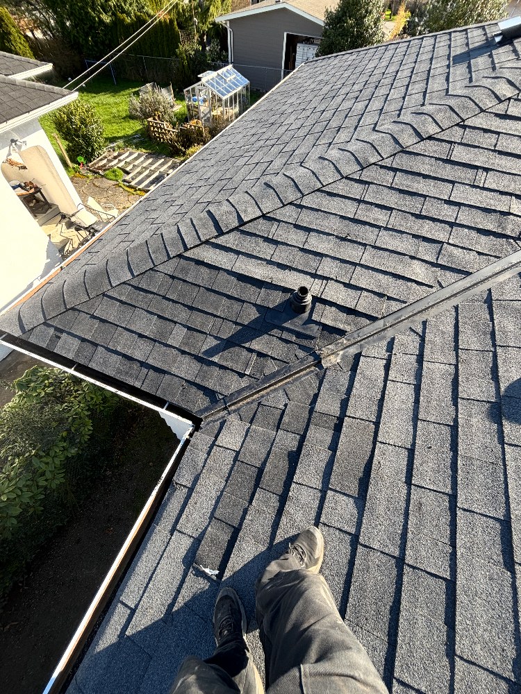 Shingle roof plane with plumbing vent and gutter line