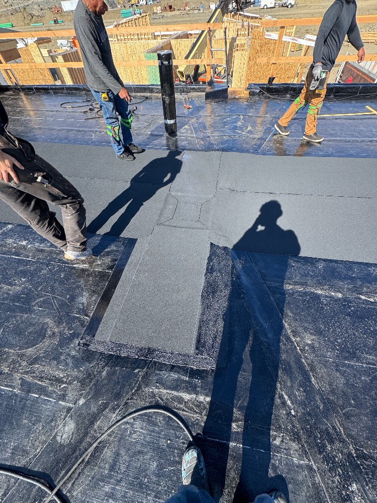 New construction roof system in Cowichan Valley
